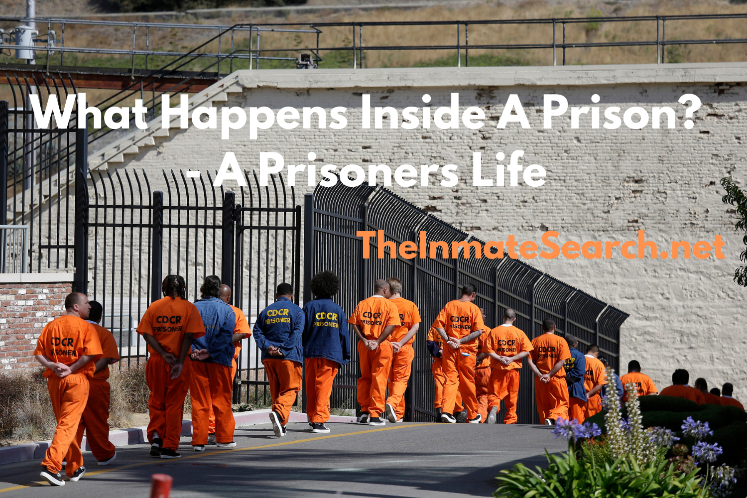 What Happens Inside A Prison - A Prisoners Life