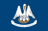 Louisiana Police Department Flag